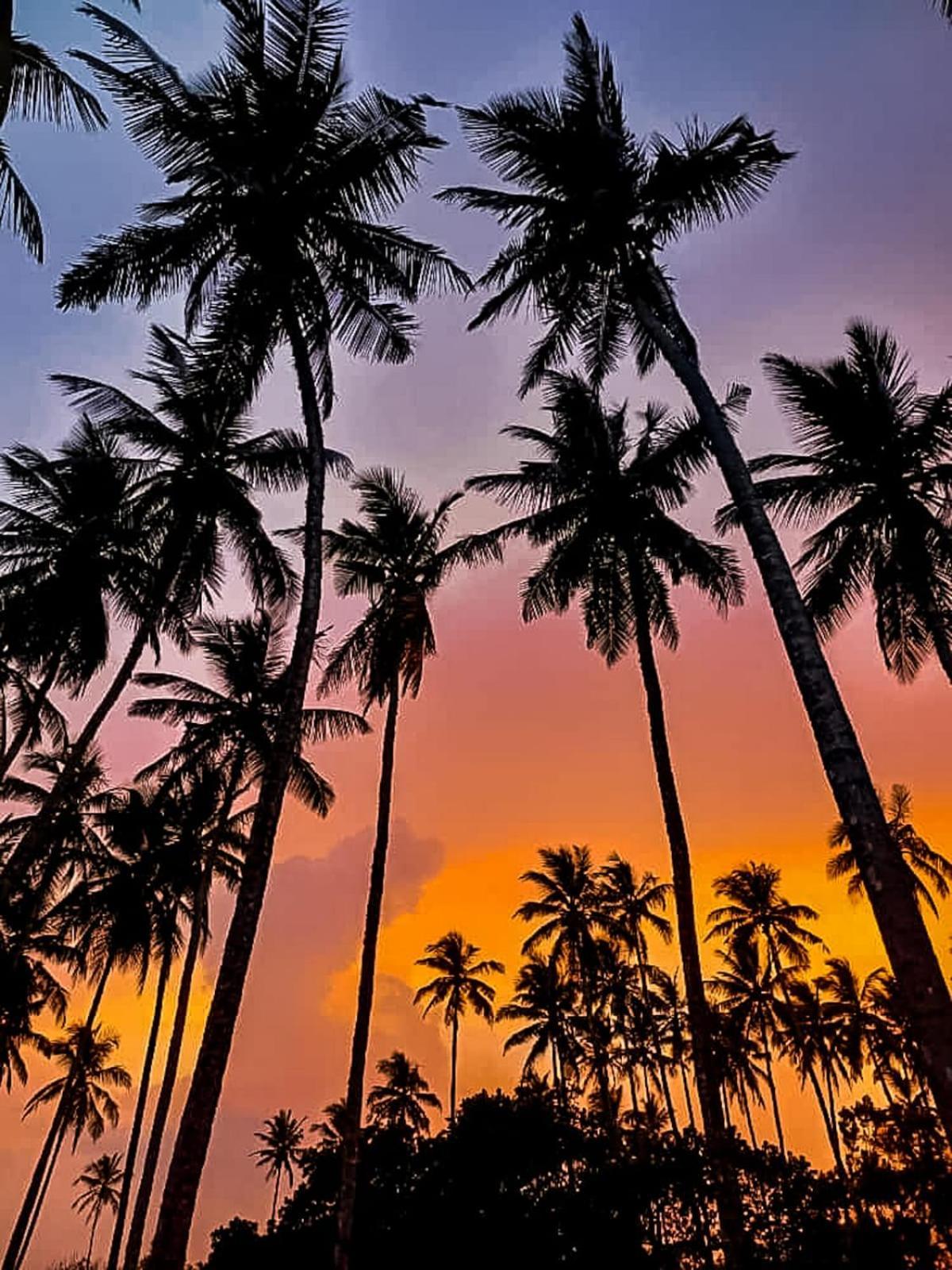 Turtle Island Cabana Tangalle Eksteriør bilde